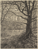 St G 114
<br/>
Wilhelminapark Utrecht
<br/>
<em>Roos, Sjoerd Hendrik de (1877-1962)</em>